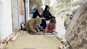 مردم شمال غزه برای زنده ماندن خوراک دام را آسیاب کرده و می‌خورند