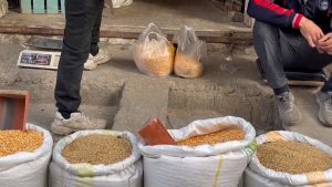 مردم غزه از قحطی و گرسنگی به خوراک دام روی آورده‌اند