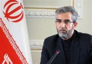باقری: کانادا با عدم اخذ رای از ایرانیان حقوق آنها را نقض کرد