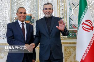 تاکید باقری بر اهمیت همکاری ایران و مصر برای مقابله با تهدیدات منطقه‌ای